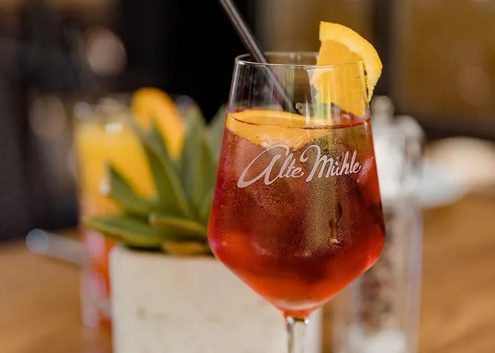 Hotel Privathotel Alte Muehle Wolfsburg-weyhausen