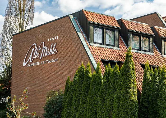 Privathotel Alte Muehle Wolfsburg-weyhausen Hotel Weyhausen